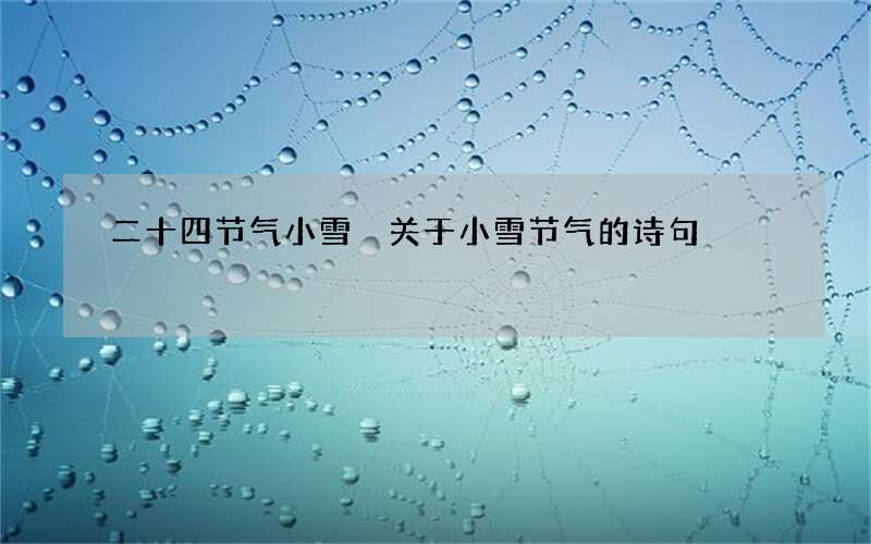 二十四节气小雪 关于小雪节气的诗句